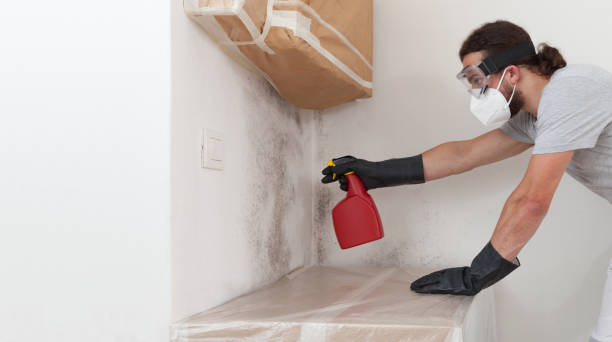 Professional Mold Removal technician working in Montvale, NJ